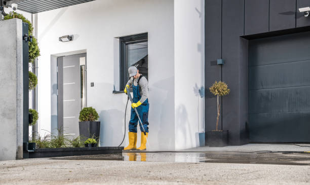 Best Driveway Cleaning and Restoration in Jacinto City, TX
